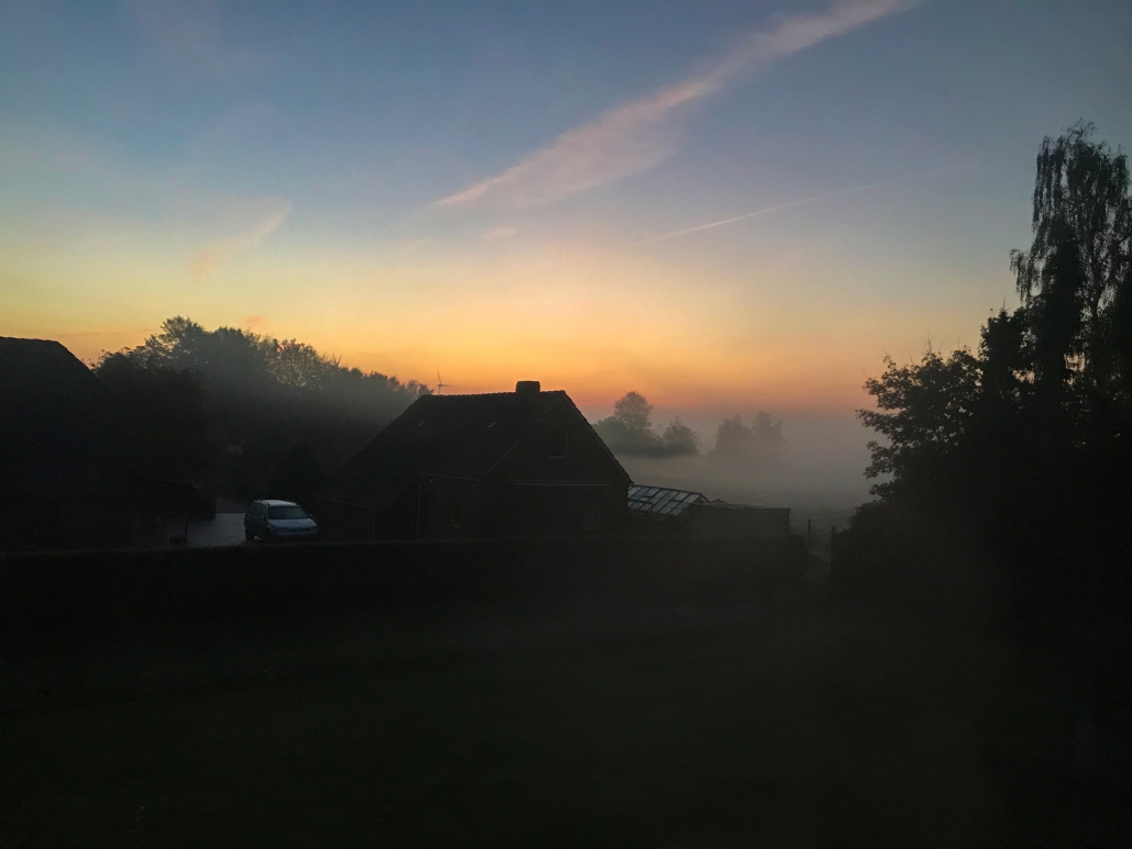 nebel wiesmoor