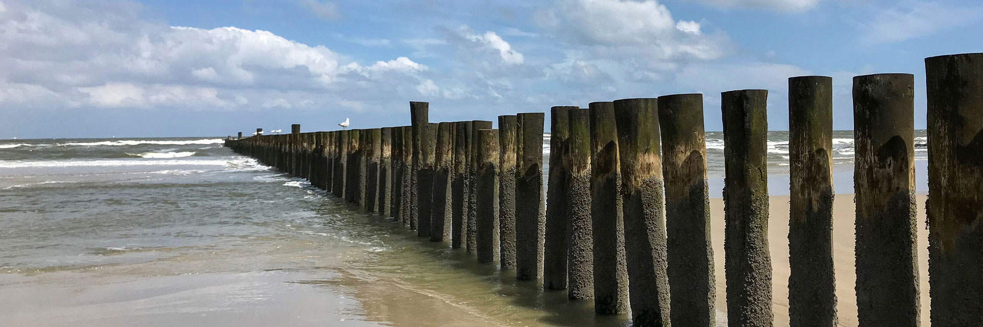 norddeutschland wangerooge insel urlaub